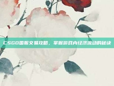 CSGO国服交易攻略，掌握游戏内经济流动的秘诀