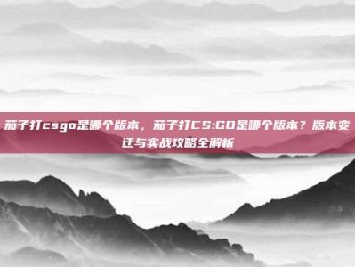 茄子打csgo是哪个版本，茄子打CS:GO是哪个版本？版本变迁与实战攻略全解析