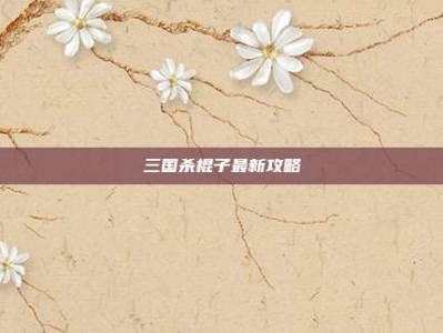 三国杀棍子最新攻略