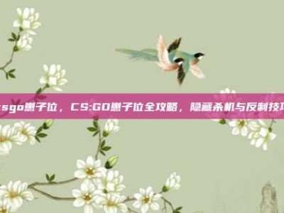 csgo崽子位，CS:GO崽子位全攻略，隐藏杀机与反制技巧