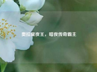 奥拉星夜王，暗夜传奇霸主
