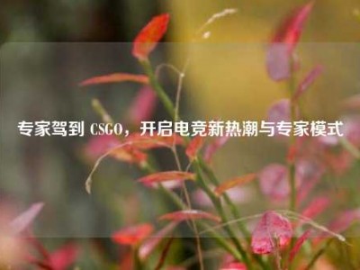 专家驾到 CSGO，开启电竞新热潮与专家模式