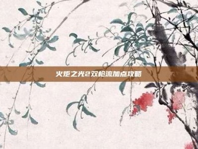 火炬之光2双枪流加点攻略