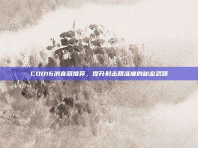 COD16消音器推荐，提升射击精准度的秘密武器