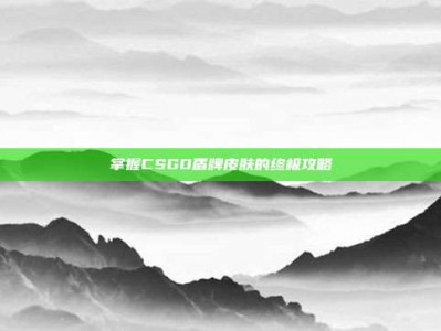 掌握CSGO盾牌皮肤的终极攻略