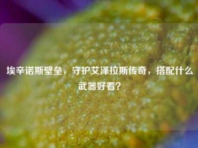 埃辛诺斯壁垒，守护艾泽拉斯传奇，搭配什么武器好看？