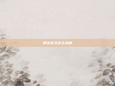 御龙在天怎么挂机