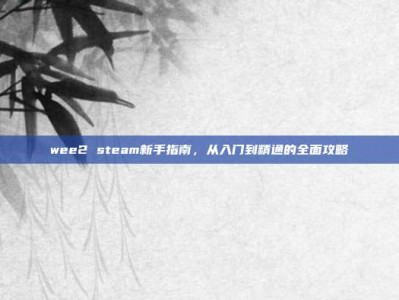 wee2 steam新手指南，从入门到精通的全面攻略