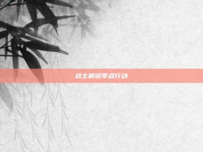战士解说零点行动