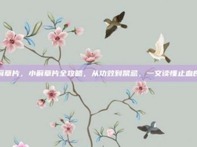 小蓟草片，小蓟草片全攻略，从功效到禁忌，一文读懂止血良药