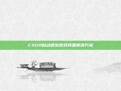 CSGO自动退出游戏问题解决方案