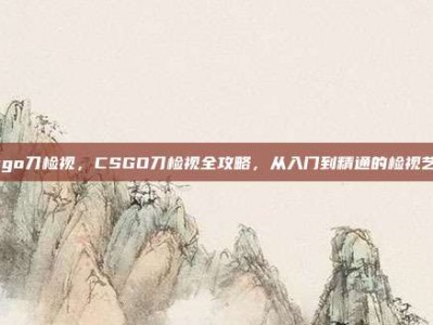 csgo刀检视，CSGO刀检视全攻略，从入门到精通的检视艺术