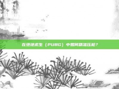 在绝地求生（PUBG）中如何精准压枪？
