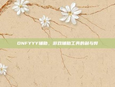 DNFYYY辅助，游戏辅助工具的利与弊