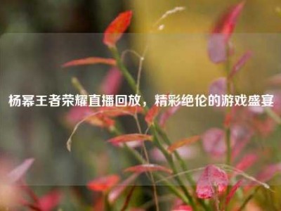 杨幂王者荣耀直播回放，精彩绝伦的游戏盛宴