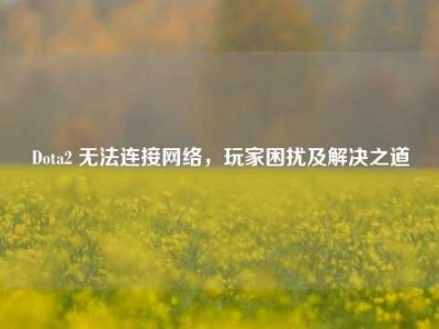 Dota2 无法连接网络，玩家困扰及解决之道