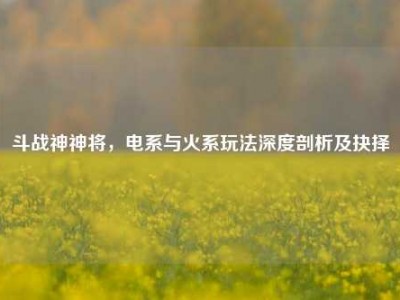 斗战神神将，电系与火系玩法深度剖析及抉择