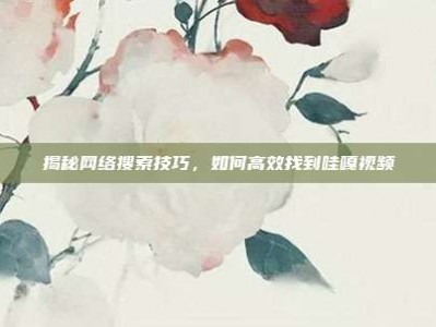 揭秘网络搜索技巧，如何高效找到哇嘎视频