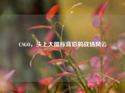 CSGO，头上大图标背后的战场风云