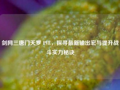 剑网三唐门天罗 PVE，探寻最新输出宏与提升战斗实力秘诀