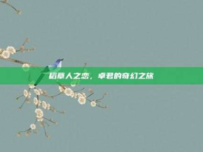 稻草人之恋，卓君的奇幻之旅