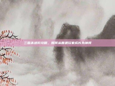 三国杀进阶攻略，如何从普通玩家成长为神将