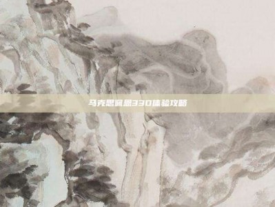 马克思佩恩33D体验攻略
