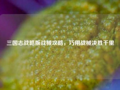 三国志战略版战械攻略，巧用战械决胜千里