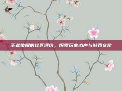王者荣耀的社区评价，探索玩家心声与游戏文化