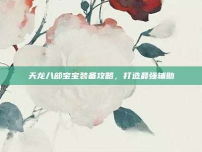天龙八部宝宝装备攻略，打造最强辅助