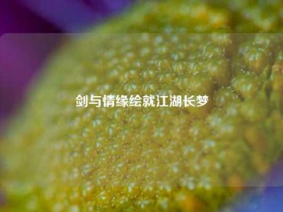 剑与情缘绘就江湖长梦