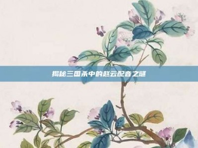 揭秘三国杀中的赵云配音之谜