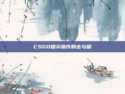 CSGO提示操作的去与留