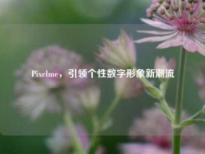 Pixelme，引领个性数字形象新潮流