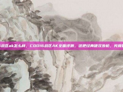 cod16战区ak怎么样，COD16战区AK全面评测，这把经典硬汉步枪，究竟香不香？