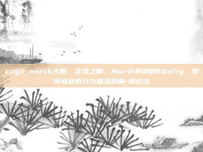 csgo north大眼，北境之眼，North时期的k0nfig，如何驾驭疯狂与精准的巅-峰枪法