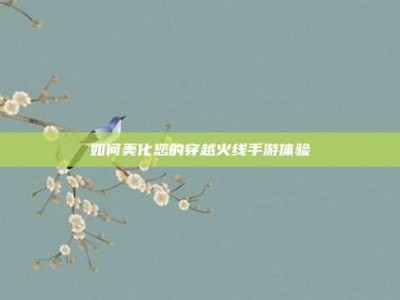 如何美化您的穿越火线手游体验