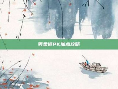 男柔道PK加点攻略