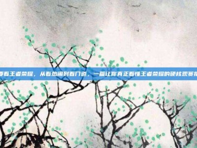 我要看王者荣耀，从看热闹到看门道，一篇让你真正看懂王者荣耀的硬核观赛指南