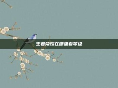 王者荣耀在哪里看等级
