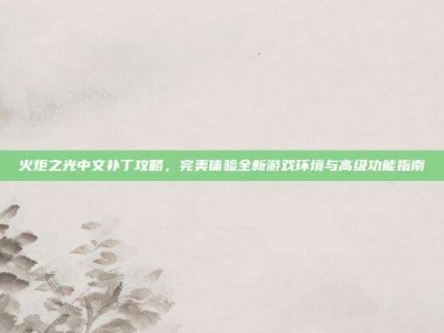 火炬之光中文补丁攻略，完美体验全新游戏环境与高级功能指南