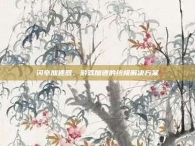 闪卒加速器，游戏加速的终极解决方案