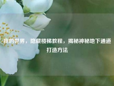 我的世界，隐藏楼梯教程，揭秘神秘地下通道打造方法