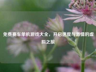 免费赛车单机游戏大全，开启速度与激情的虚拟之旅