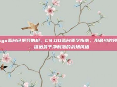csgo蓝白色系列的枪，CS:GO蓝白美学指南，用最少的预算，搭出最干净利落的战场风格