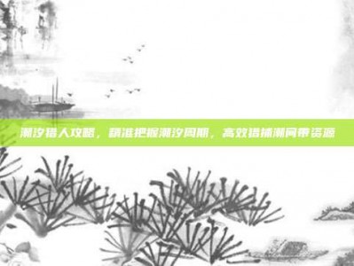 潮汐猎人攻略，精准把握潮汐周期，高效猎捕潮间带资源