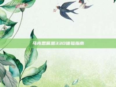 马克思佩恩33D体验指南