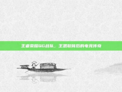 王者荣耀QG战队，王思聪背后的电竞传奇