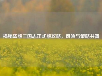 揭秘盗版三国志正式版攻略，风险与策略共舞