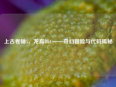 上古卷轴5，龙裔DLC——奇幻冒险与代码揭秘